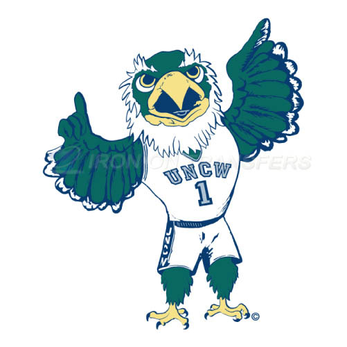 NC Wilmington Seahawks Logo T-shirts Iron On Transfers N5367